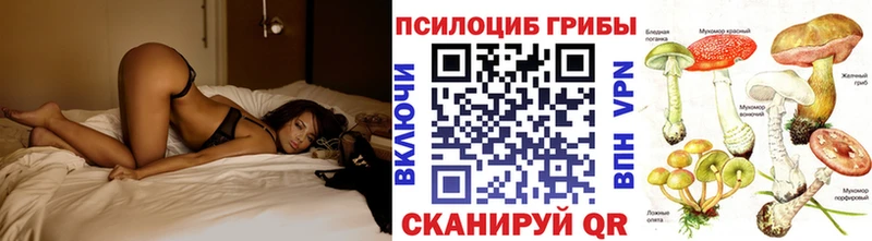 Купить  Нижний Новгород  Галлюциногенные грибы GOLDEN TEACHER 