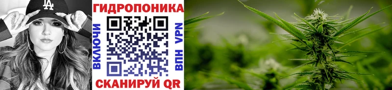 Канабис OG Kush Купить Нижний Новгород